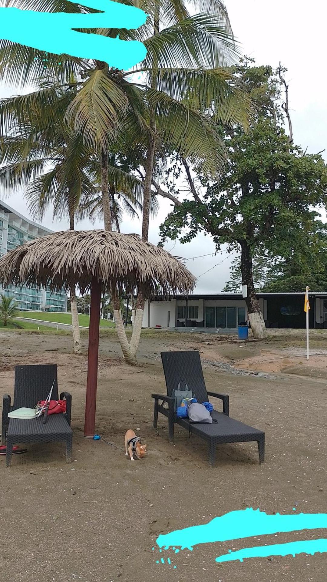 Apartamento En Balabeach Maria Chiquita In Front Of The Beach 2Hab コロン 部屋 写真