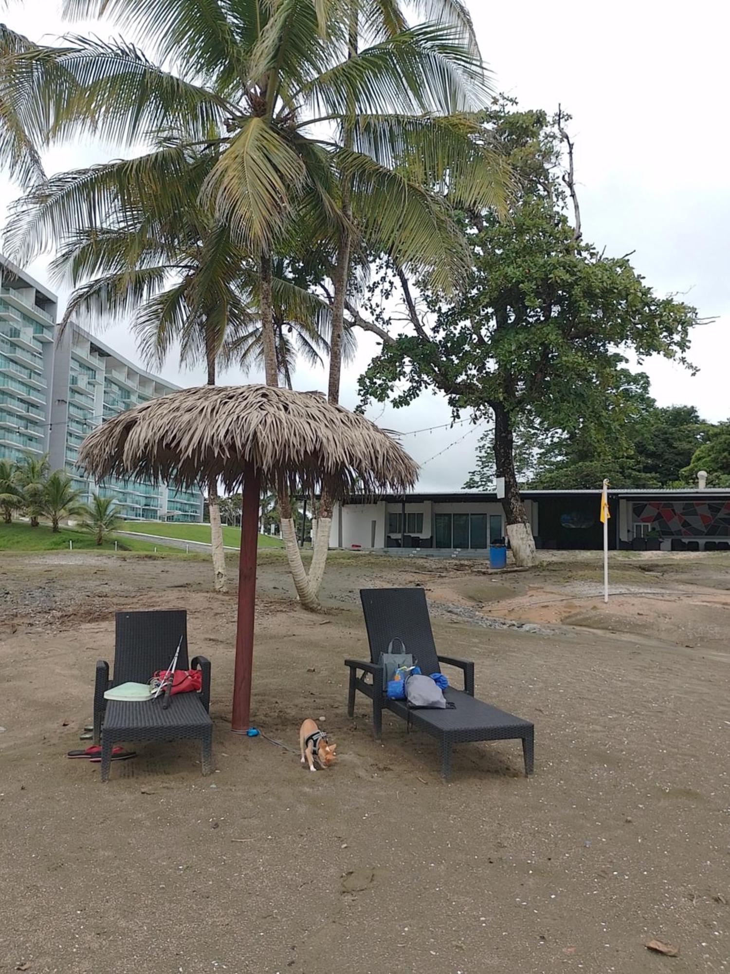 Apartamento En Balabeach Maria Chiquita In Front Of The Beach 2Hab コロン 部屋 写真