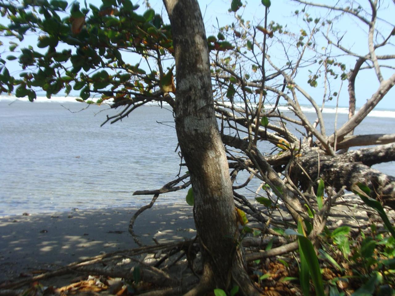 Apartamento En Balabeach Maria Chiquita In Front Of The Beach 2Hab コロン エクステリア 写真