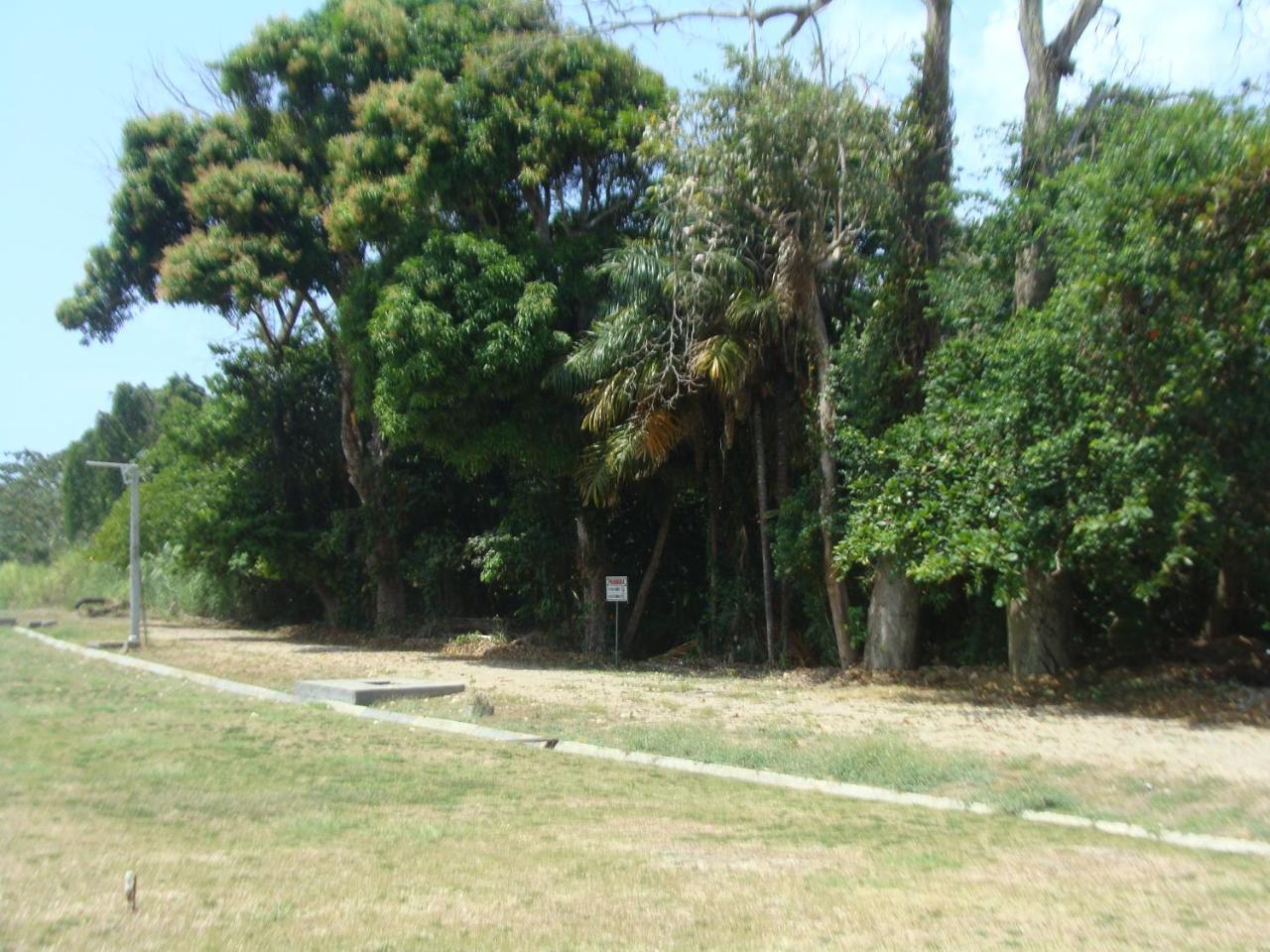 Apartamento En Balabeach Maria Chiquita In Front Of The Beach 2Hab コロン エクステリア 写真
