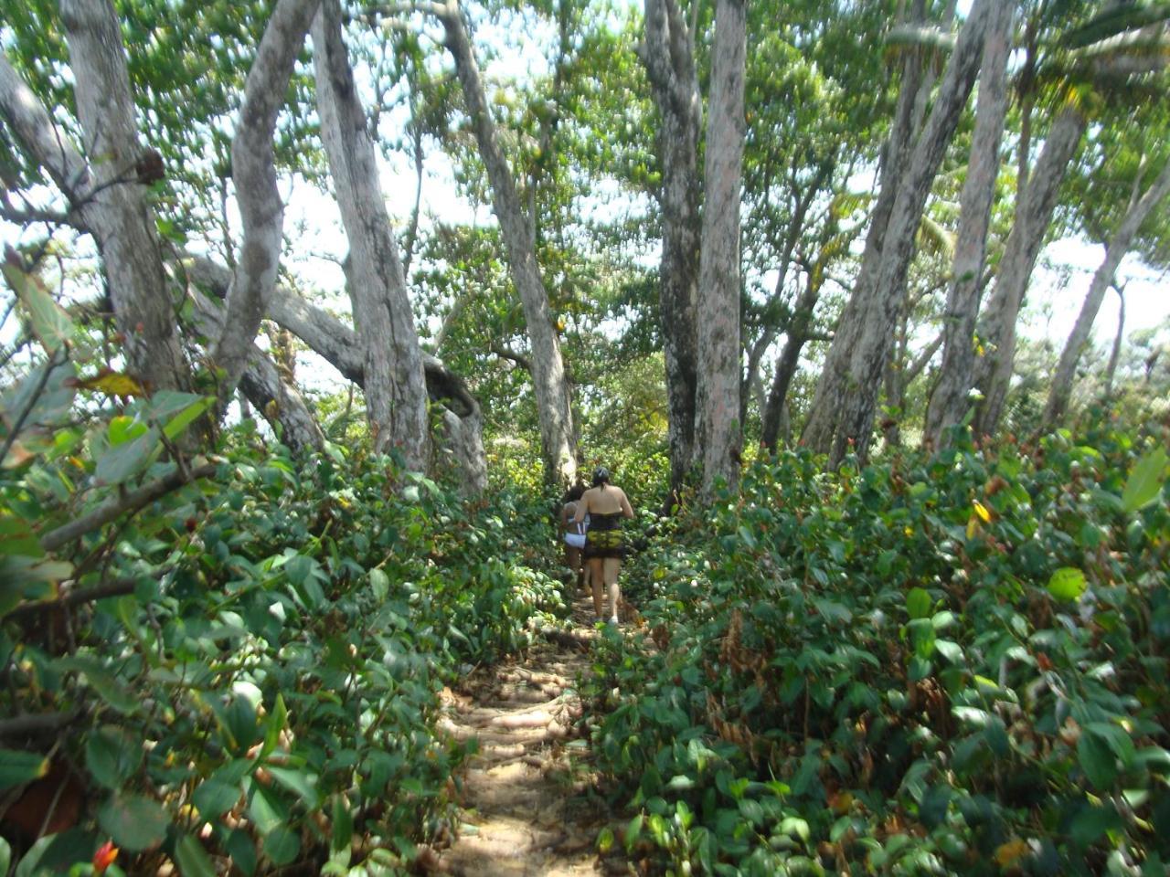 Apartamento En Balabeach Maria Chiquita In Front Of The Beach 2Hab コロン エクステリア 写真