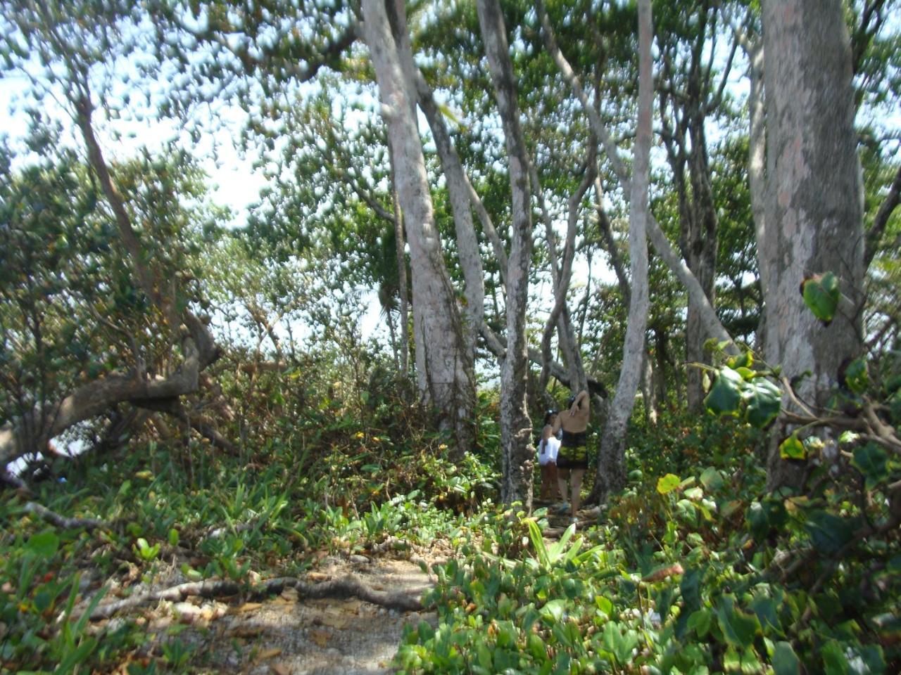 Apartamento En Balabeach Maria Chiquita In Front Of The Beach 2Hab コロン エクステリア 写真